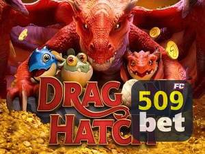 509BET PIX instantâneo Brasil - Depósito e saque em minutos 24/7